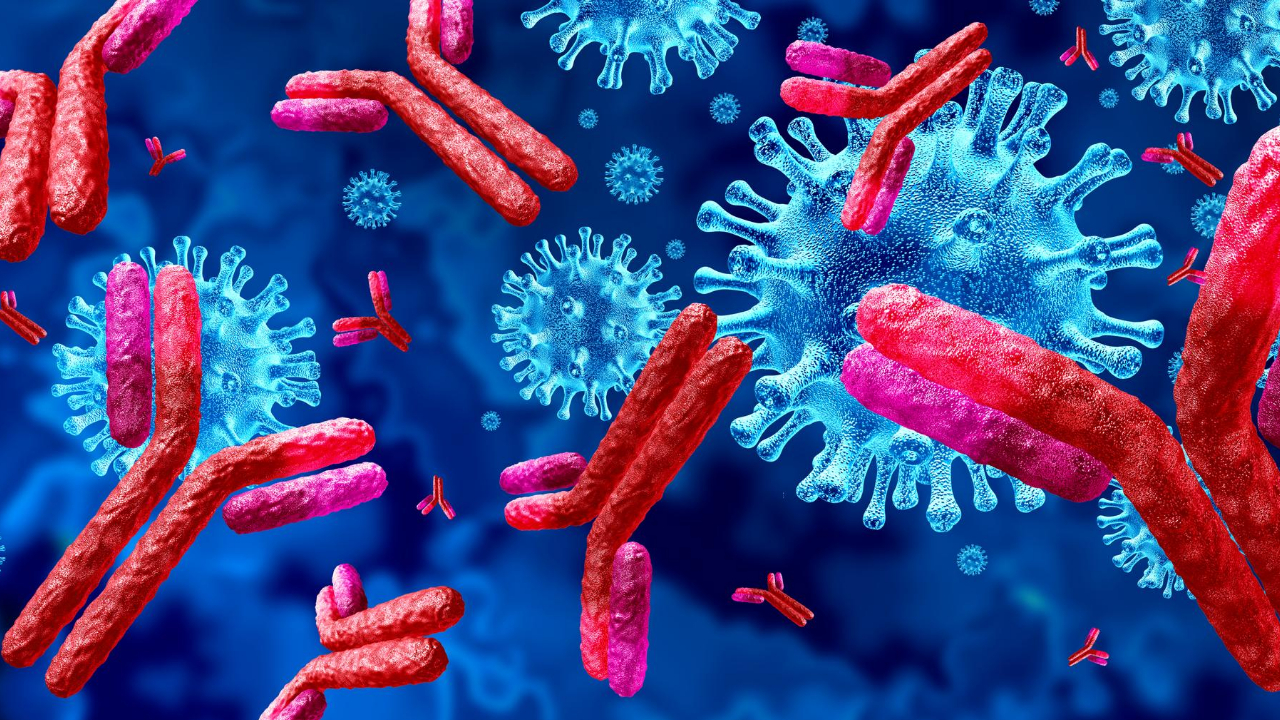 Tai Chi For Immune System: How It Can Boost Your Immune Response