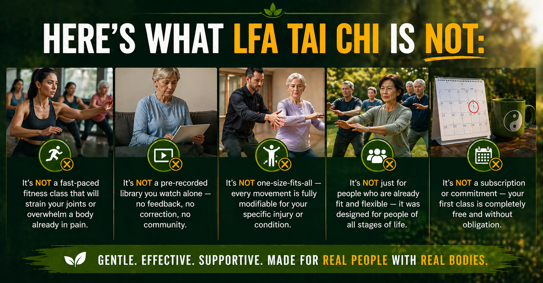 Edinburgh Tai Chi Zoom Classes